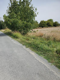 terrain à Meschers-sur-Gironde (17)