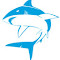 Item logo image for Bull Shark