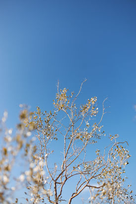 Fotografo di matrimoni Darya Lapina (dashalapina). Foto del 10 novembre 2021