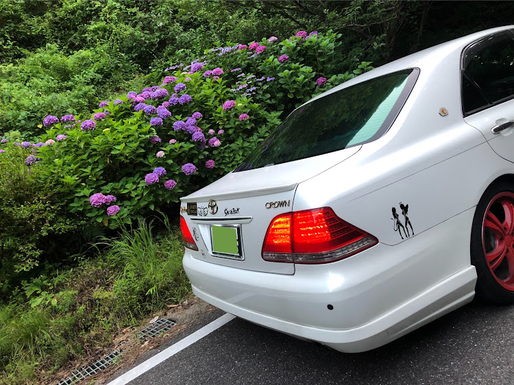 クラウンロイヤルの梅雨の晴れ間・熱中症に注意・紫陽花が綺麗でした・洗車したい！に関するカスタム事例の投稿画像3枚目