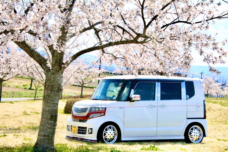 Nボックスカスタムの桜🌸2020・コロナウイルスに負けるな・桜と愛車に関するカスタム事例の投稿画像1枚目