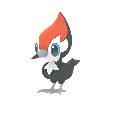 Pikipek