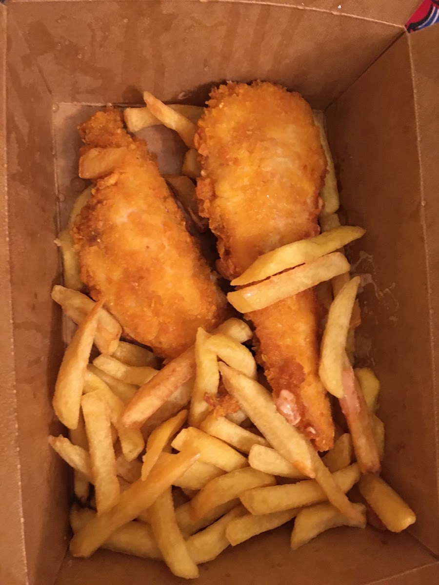 Gluten free chicken tenders and fries