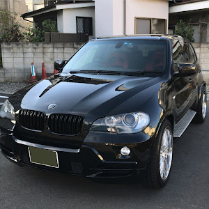 X5 3.0si