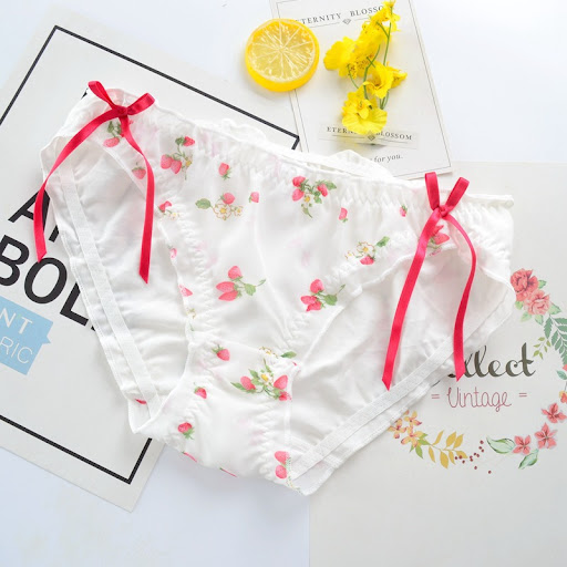 Title 6, Japanese Cotton Womens Panties and Bow Briefs ...