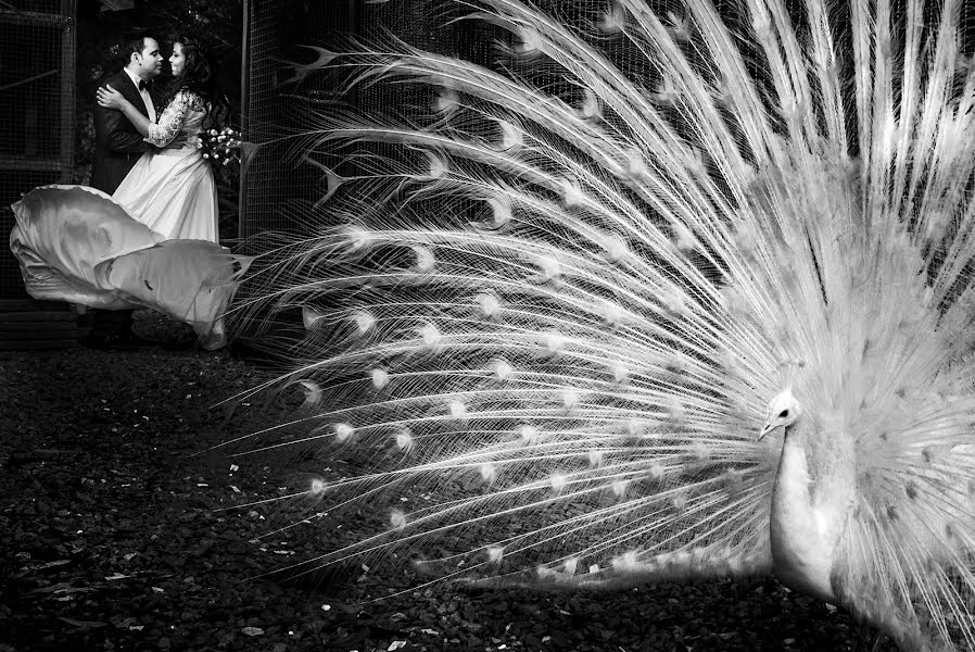 Fotografo di matrimoni Flavio Roberto (flavioroberto). Foto del 27 giugno 2019