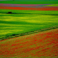 Colori di Gugno di 