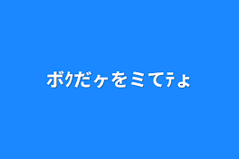 ボｸだヶをミてﾃょ