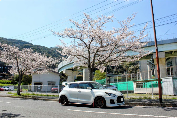 スイフトスポーツの桜吹雪🌸・桜満開🌸・桜コラボ🌸・いつもイイネ&コメントありがとうございます🙇‍♂️に関するカスタム事例の投稿画像5枚目