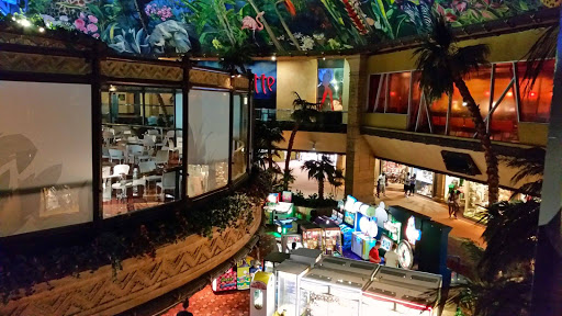 Sun City Hacking Tour South Africa 2015