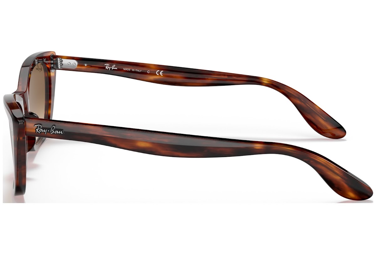 ray-ban-5159680393084928-3