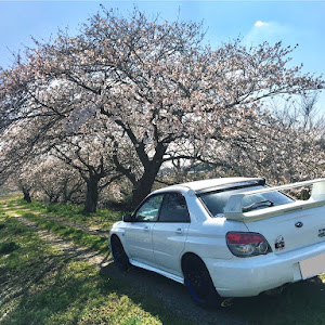 インプレッサ WRX GDA