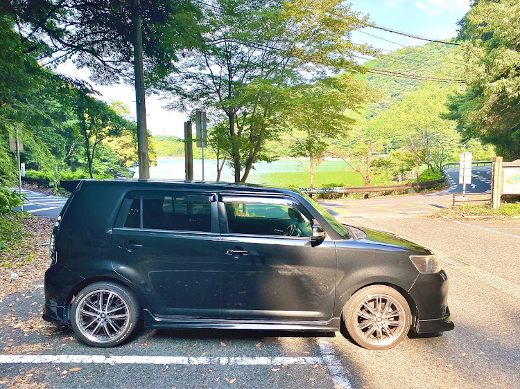 カローラルミオンの真横・河内貯水池・エンブレム塗装・自然×愛車に関するカスタム事例の投稿画像3枚目