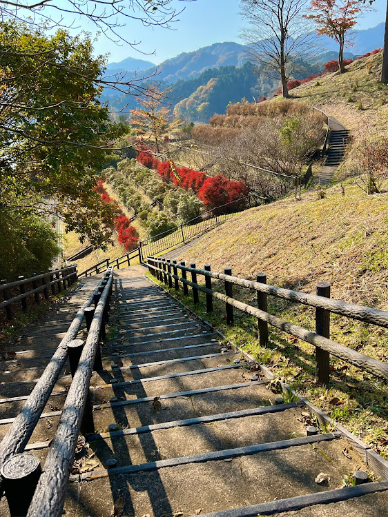 の投稿画像9枚目