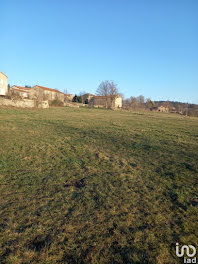 terrain à Montregard (43)