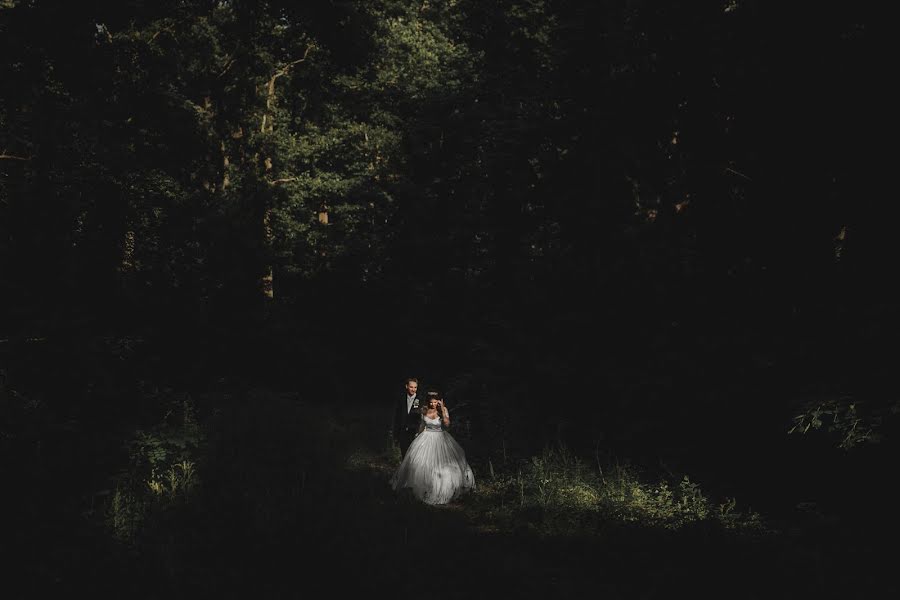 Hochzeitsfotograf Sasa Raskovic (sasaraskovic). Foto vom 9. August 2020