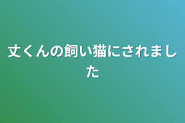 丈くんの飼い猫にされました