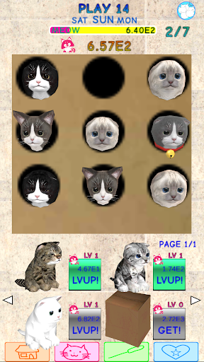 Play Kittens Ads Free