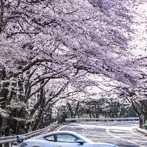 718 ケイマン