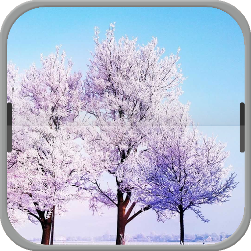 Light Pink Tree in Winter 個人化 App LOGO-APP開箱王