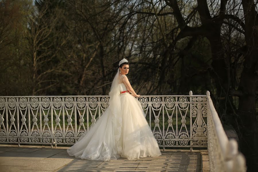 Fotógrafo de casamento Evgeniya Novickaya (klio24). Foto de 28 de abril 2020