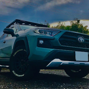 RAV4 MXAA54