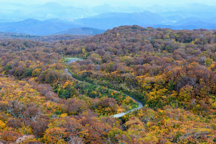 フォレスターの秋の気配・紅葉・ドライブ・鳥海山・紅葉と愛車に関するカスタム事例の投稿画像9枚目