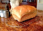 Throw Away the Bread Machine Instructions!.... White Bread was pinched from <a href="http://www.food.com/recipe/throw-away-the-bread-machine-instructions-white-bread-339905" target="_blank">www.food.com.</a>