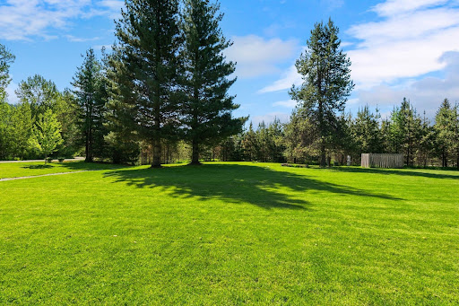 House with garden 4
