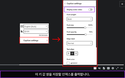 Video CC translator