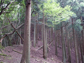 700m付近まで降りて大きく登り返す