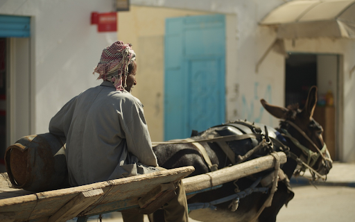 Donkey pulling a cart