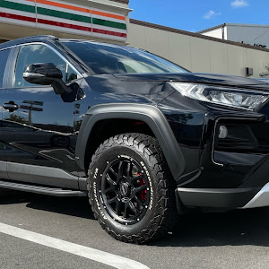 RAV4 MXAA54