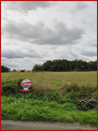 terrain à Saint-Mars-de-Coutais (44)