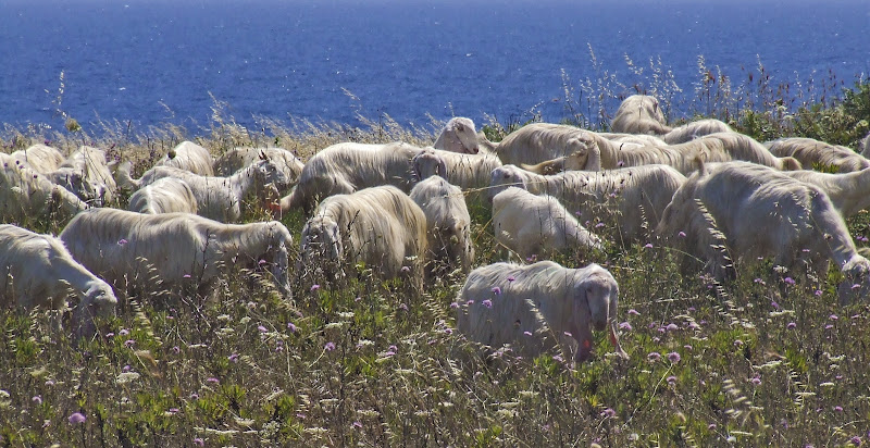 perdersi di lugiube