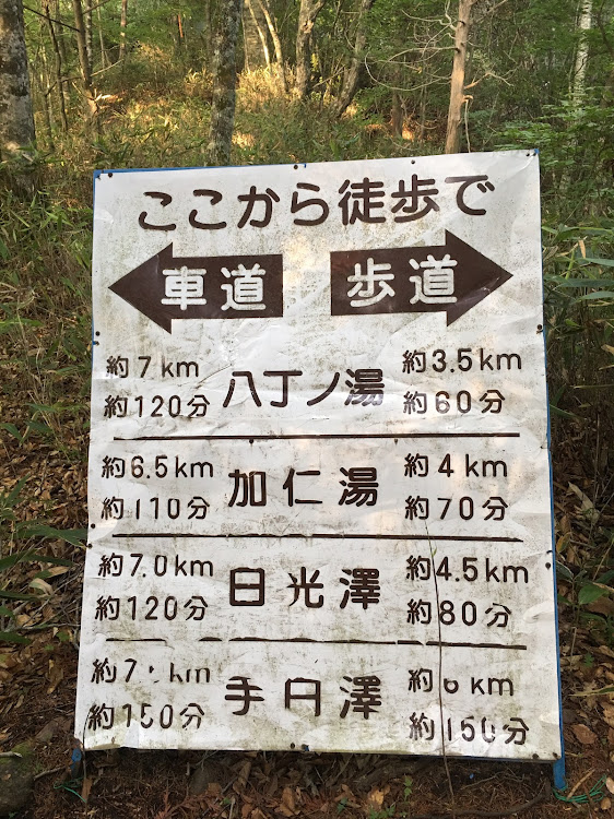 エスティマのドライブに関するカスタム事例の投稿画像4枚目