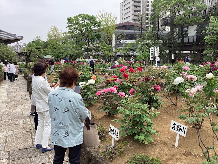 の投稿画像119枚目