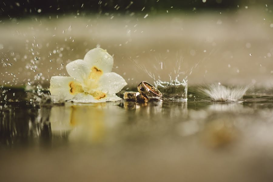 Hochzeitsfotograf Andreza Ferreira (andrezaferreira). Foto vom 30. April 2020