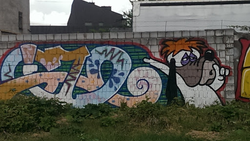 Snupi Grafito Radom