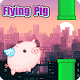 Flying Pig