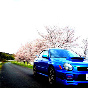 インプレッサ WRX STI GDB