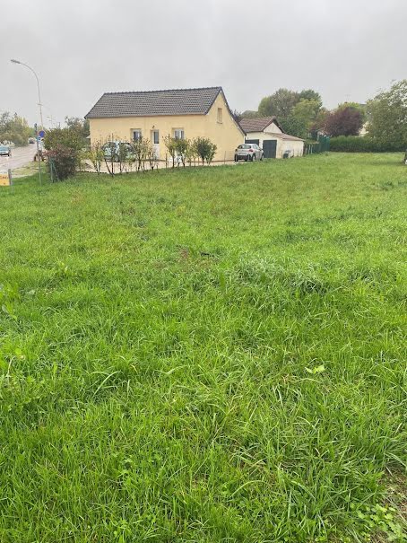 Vente terrain  981 m² à Vendeuvre-sur-Barse (10140), 34 000 €