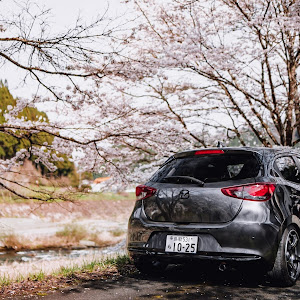 MAZDA2 DJLFS