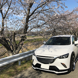 CX-3 DK5FW