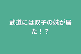 武道には双子の妹が居た！？