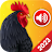 Animal Sounds Birds Ringtones icon