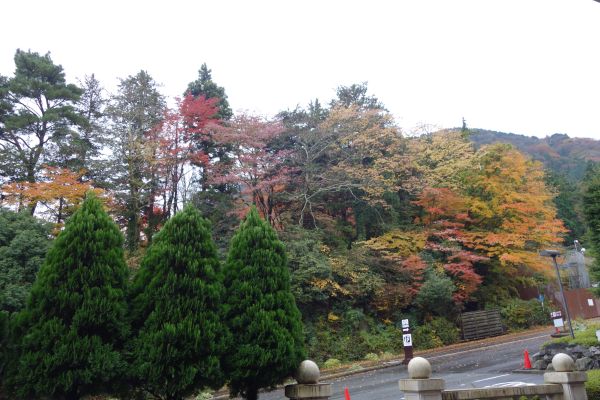 平凡人遊記 箱根紅葉 強羅公園 大涌谷 御殿場outlets