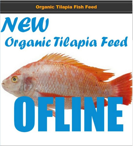 Organic Tilapia Feed