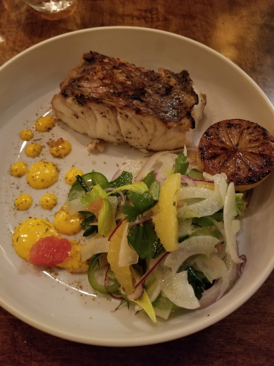 Red snapper with fennel salad