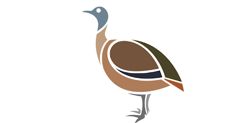 Canto De Lambu Pe Roxo Para Baixar Baixar O Canto Da Lambu Apk Para Android Ultima Versao